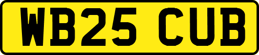 WB25CUB
