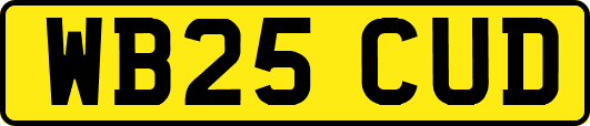 WB25CUD