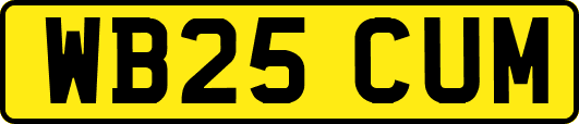 WB25CUM