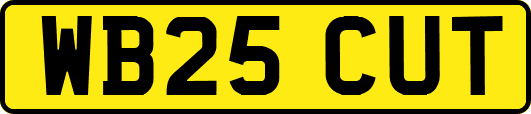 WB25CUT
