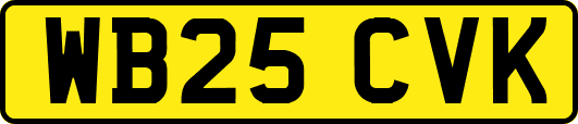 WB25CVK