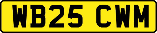 WB25CWM