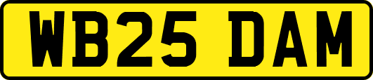WB25DAM