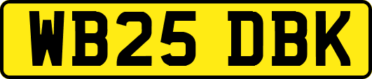 WB25DBK