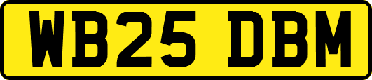 WB25DBM
