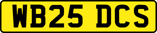 WB25DCS