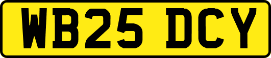 WB25DCY