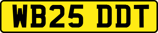 WB25DDT