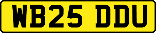 WB25DDU
