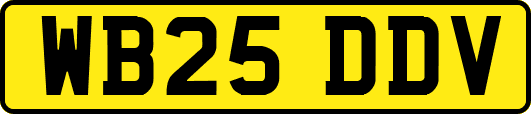 WB25DDV