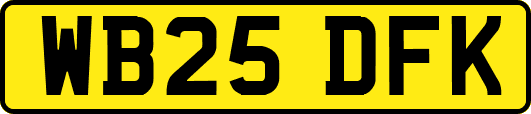WB25DFK