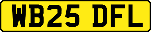 WB25DFL