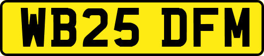 WB25DFM