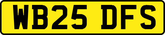 WB25DFS