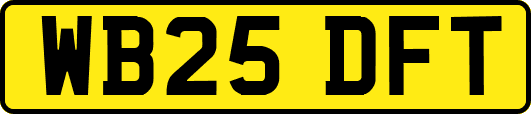 WB25DFT