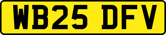 WB25DFV