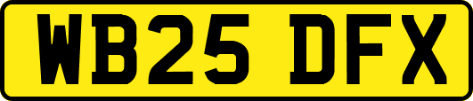 WB25DFX