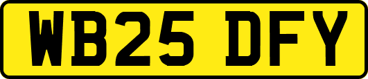 WB25DFY