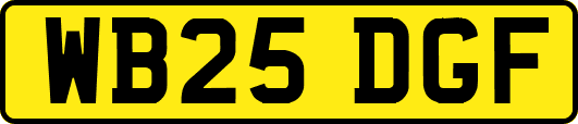 WB25DGF