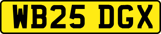 WB25DGX