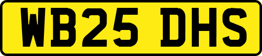 WB25DHS