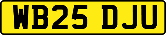 WB25DJU