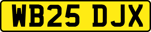 WB25DJX