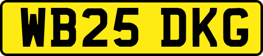 WB25DKG