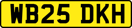 WB25DKH