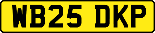 WB25DKP