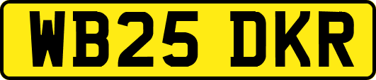 WB25DKR