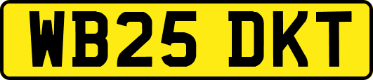 WB25DKT