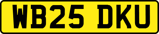 WB25DKU