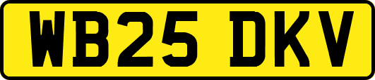 WB25DKV