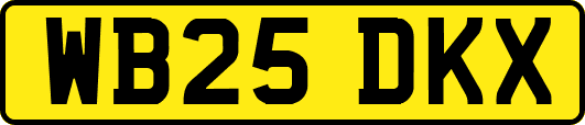WB25DKX