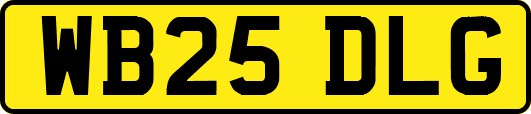 WB25DLG