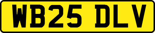 WB25DLV