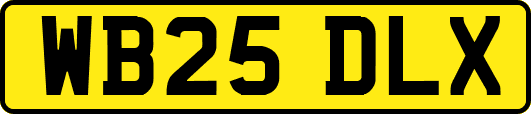 WB25DLX