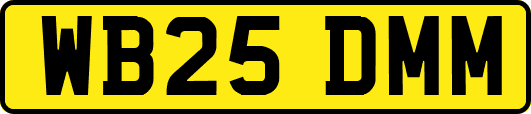 WB25DMM