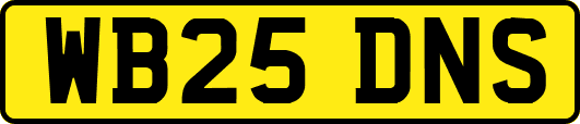 WB25DNS