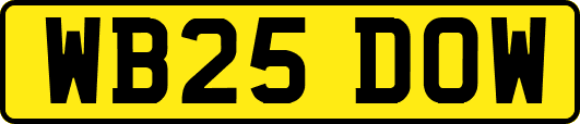 WB25DOW