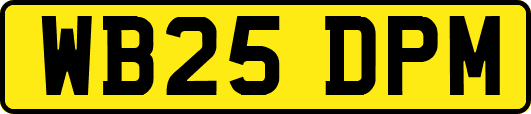 WB25DPM