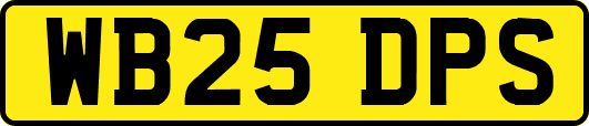 WB25DPS