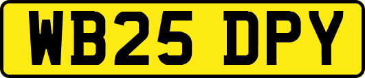 WB25DPY