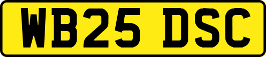 WB25DSC