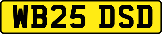 WB25DSD