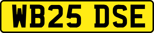 WB25DSE