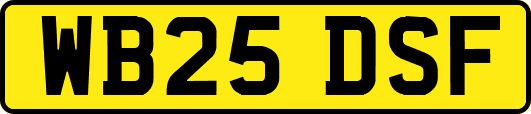 WB25DSF