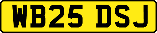 WB25DSJ