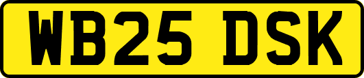 WB25DSK